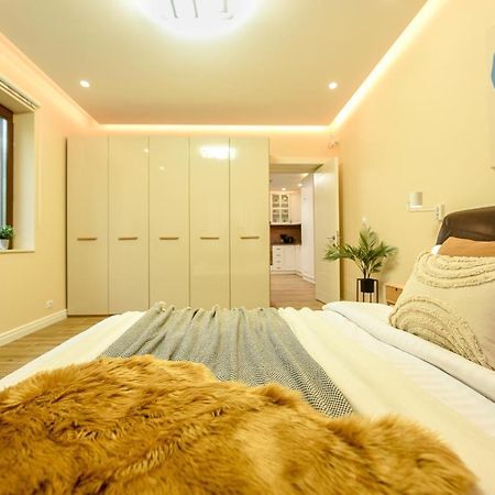 Green Leafy Brasov - Ideal 2 Bedroom Apartment Dış mekan fotoğraf