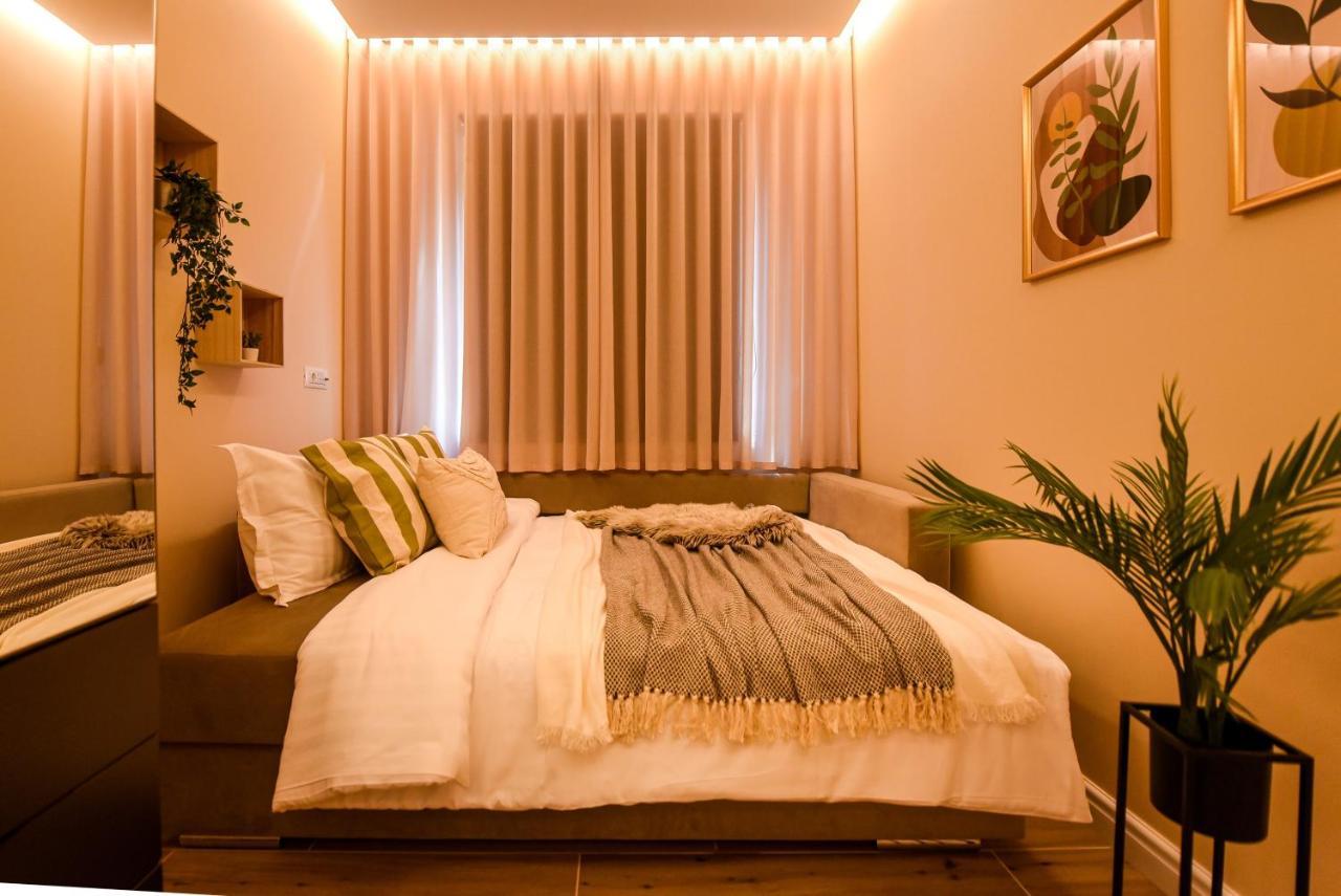 Green Leafy Brasov - Ideal 2 Bedroom Apartment Dış mekan fotoğraf